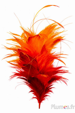 Pennacchio tacchina-gallo - altezza 30 cm - fuoco